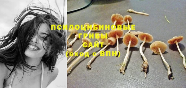 spice Алексин