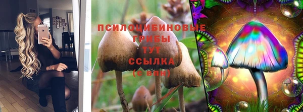 spice Алексин