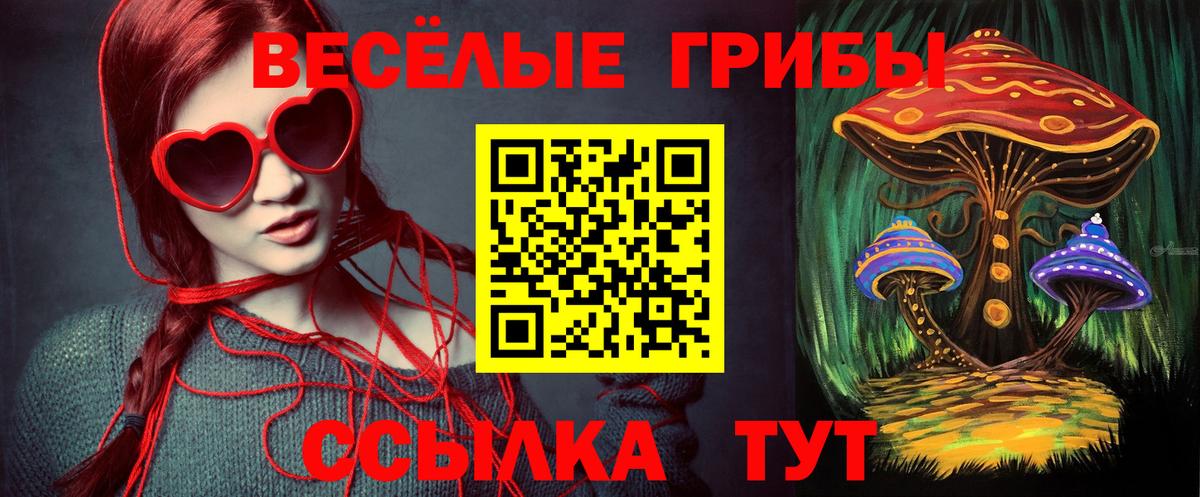 Галлюциногенные грибы мицелий Биробиджан