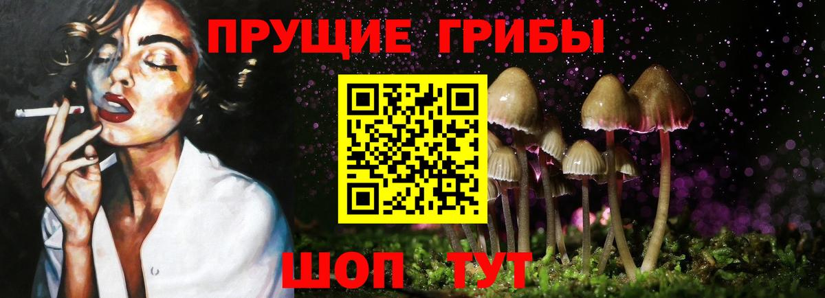 купить   Галлюциногенные грибы мицелий  Вход с VPN  Биробиджан 